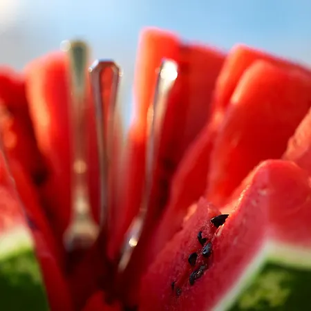 Elvina City House Daire *