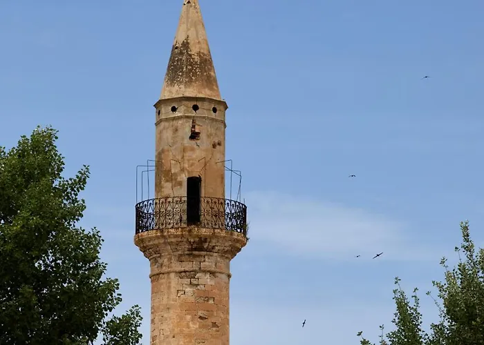 Apartamento Elvina City House *