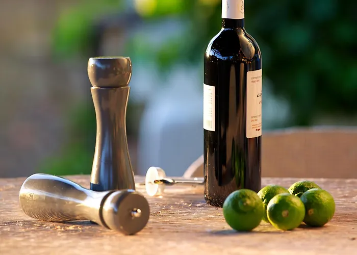 Elvina City House Apartamento La Canea