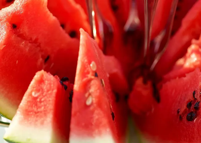 Elvina City House Apartamento