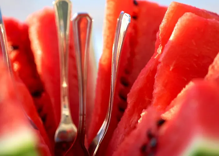 Apartamento Elvina City House