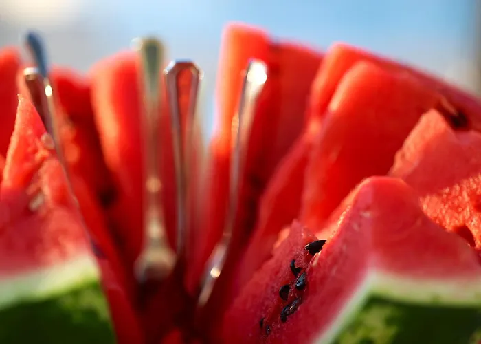 Elvina City House Apartamento *